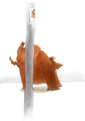 photo25.jpg