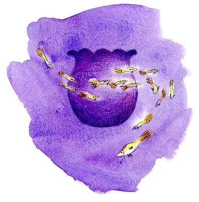 photo29.jpg