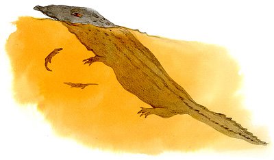 photo33.jpg