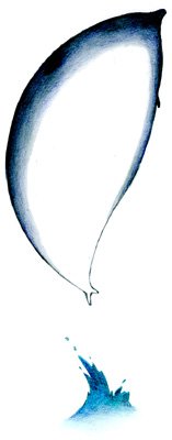 photo72.jpg