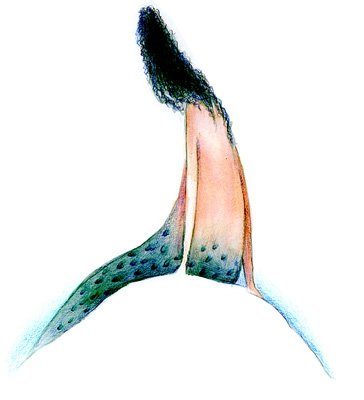photo84.jpg