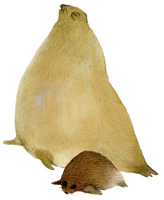 photo87.jpg