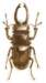 bbl010003_small.jpg