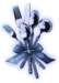 bbl010014_small.jpg