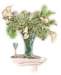 bbl010025_small.jpg