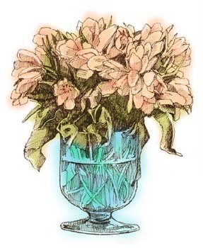 bbl010026.jpg