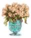 bbl010026_small.jpg