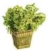 bbl010040_small.jpg