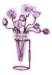bbl010042_small.jpg