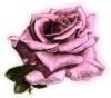 bbl010068_small.jpg