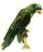 bbl010079_small.jpg