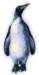 bbl010080_small.jpg