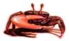 bbl010081_small.jpg