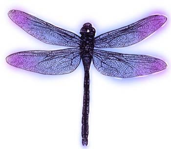 bbl010090.jpg