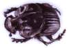 bbl010091_small.jpg