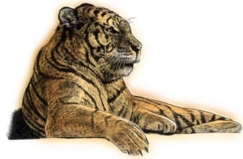 bbl010092.jpg