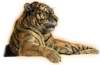 bbl010092_small.jpg