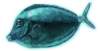 bbl010095_small.jpg