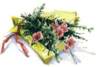 beq010030_small.jpg