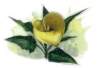 beq010032_small.jpg