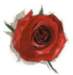 beq010036_small.jpg