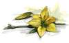 beq010037_small.jpg