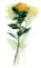 beq010038_small.jpg