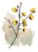 beq010039_small.jpg
