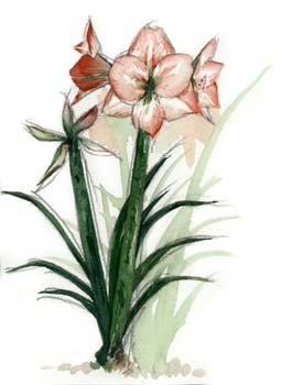 beq010040.jpg