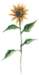 beq010041_small.jpg