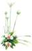 beq010044_small.jpg