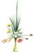 beq010047_small.jpg