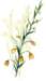 beq010049_small.jpg