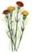 beq010050_small.jpg