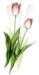 beq010051_small.jpg