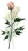 beq010052_small.jpg