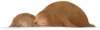baf010003_small.jpg