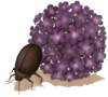 baf010018_small.jpg