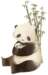 baf010034_small.jpg