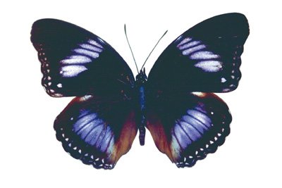img0001.jpg