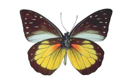 img0003.jpg