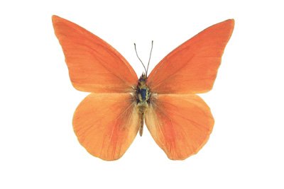 img0006.jpg