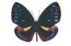 img0007_small.jpg