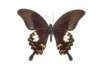 img0010_small.jpg