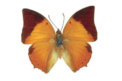 img0012.jpg