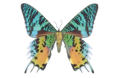 img0014.jpg