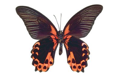img0019.jpg