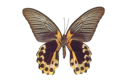 img0021.jpg