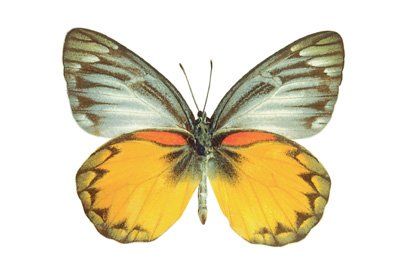 img0023.jpg
