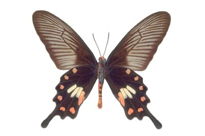 img0026.jpg